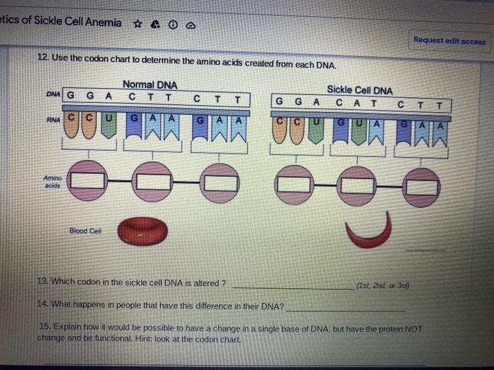 Codon Chart Study Biology Science Cells Molecular Genetics