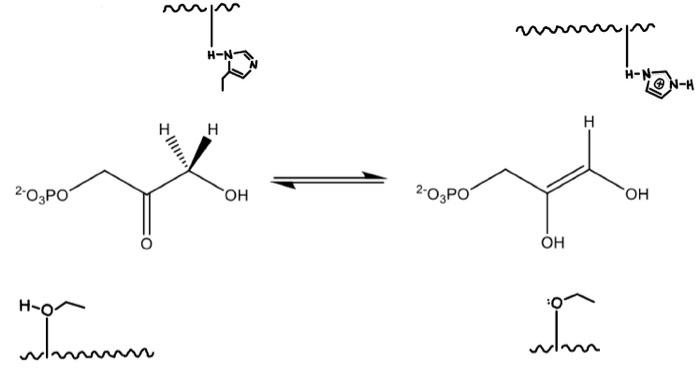 Solved Draw the mechanism for the Acid-Base Catalysis | Chegg.com