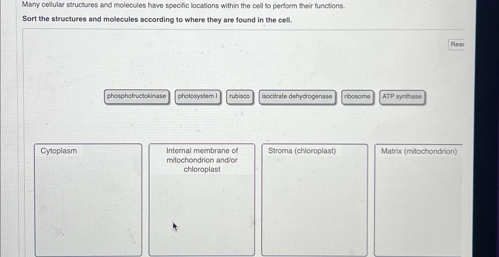 Flask BeforeRequest Decorator Accessing Functions and Scope - Solved Many cellular structures and molecules have specific | Chegg.com