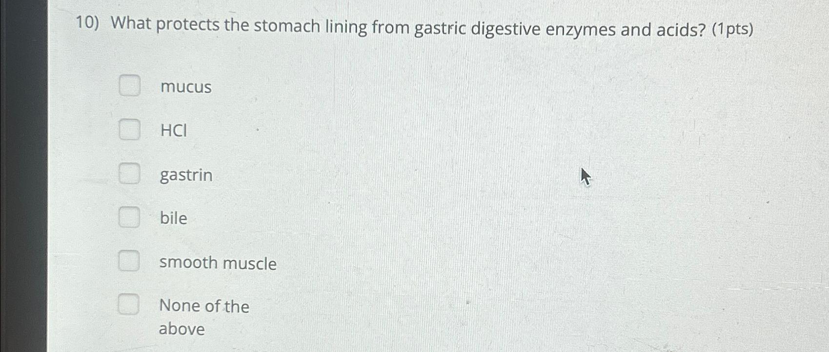 solved-what-protects-the-stomach-lining-from-gastric-chegg