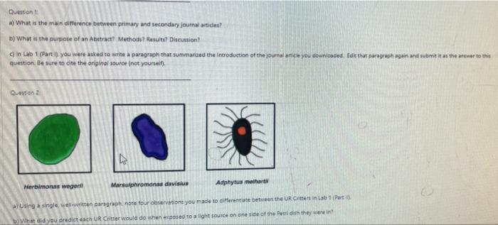 Solved Question 1 a) What is the main difference between | Chegg.com
