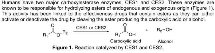 Solved Humans have two major carboxylesterase enzymes, CES1 | Chegg.com