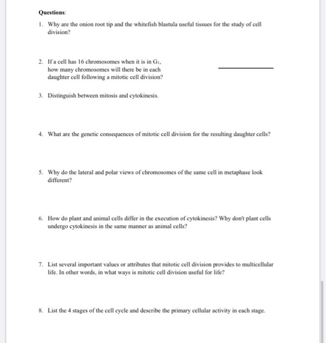 Questions 1 Why Are The Onion Root Tip And The Chegg Com