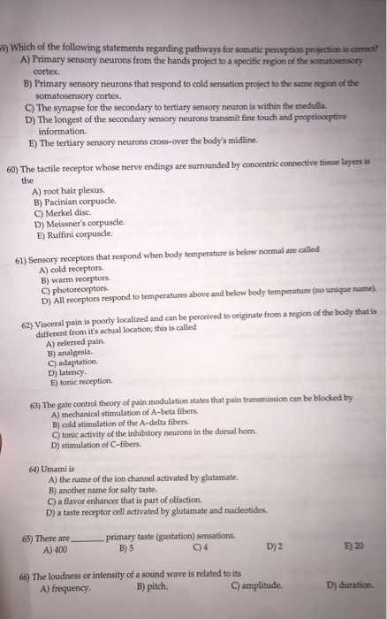 Solved 9) Which of the following statements regarding | Chegg.com - Which Of The Following Statements Is True Regarding Perception