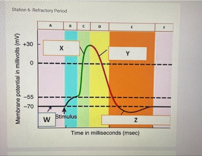 Time in milliseconds (msec) 6a) State which | Chegg.com