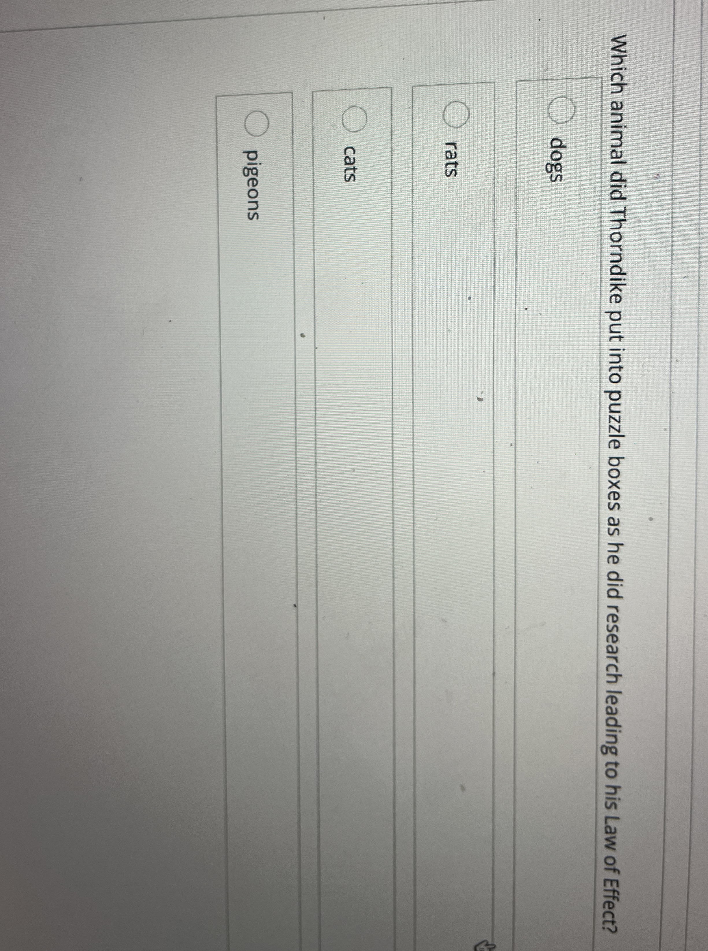 Solved Which animal did Thorndike put into puzzle boxes as
