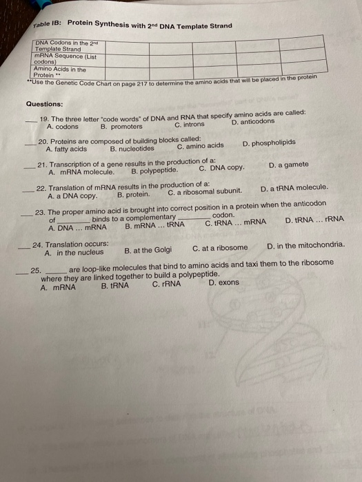 Solved Table 1B: Protein Synthesis with 2nd DNA Template | Chegg.com