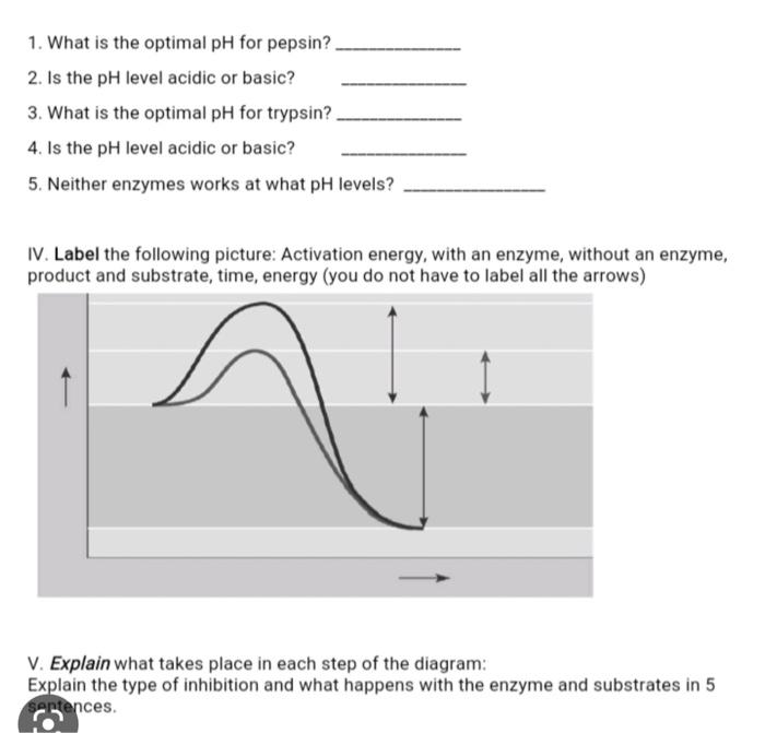 Solved 1. What is the optimal pH for pepsin? 2. Is the pH | Chegg.com