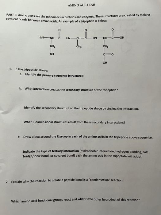 Solved PART II: Amino acids are the monomers in proteins and | Chegg.com