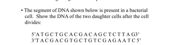 Solved • The segment of DNA shown below is present in a | Chegg.com