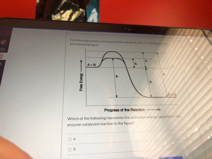 Solved The following question are based on the reaction | Chegg.com
