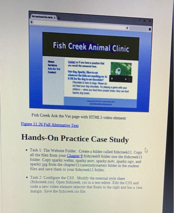 Solved Fish Creek Animal Clinic See Chapter 2 For An Intr