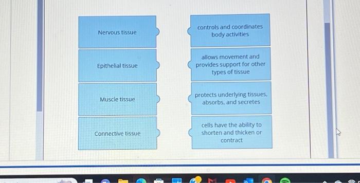 Solved NEED HELP MATCHING THESE TERMS!!Nervous Tissue | Chegg.com