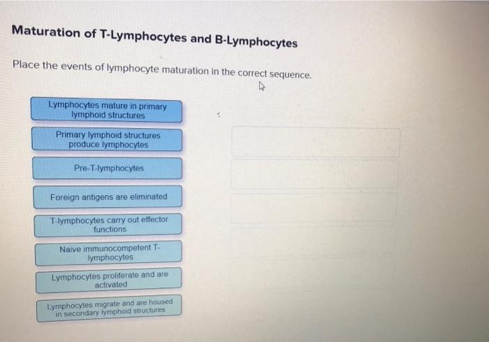 after final maturation t and b lymphocytes migrate to