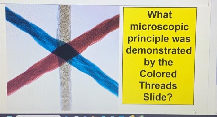 Solved What microscopic principle was demonstrated by the | Chegg.com