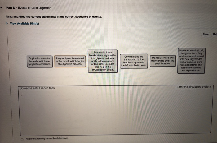 Solved Order the events of lipid digestion from someone | Chegg.com