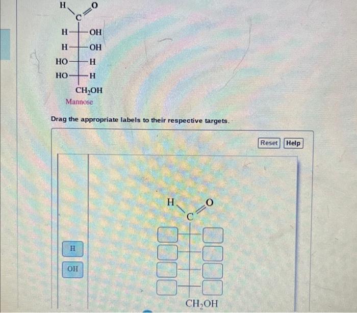 Solved Drag the appropriate labels to their respective | Chegg.com