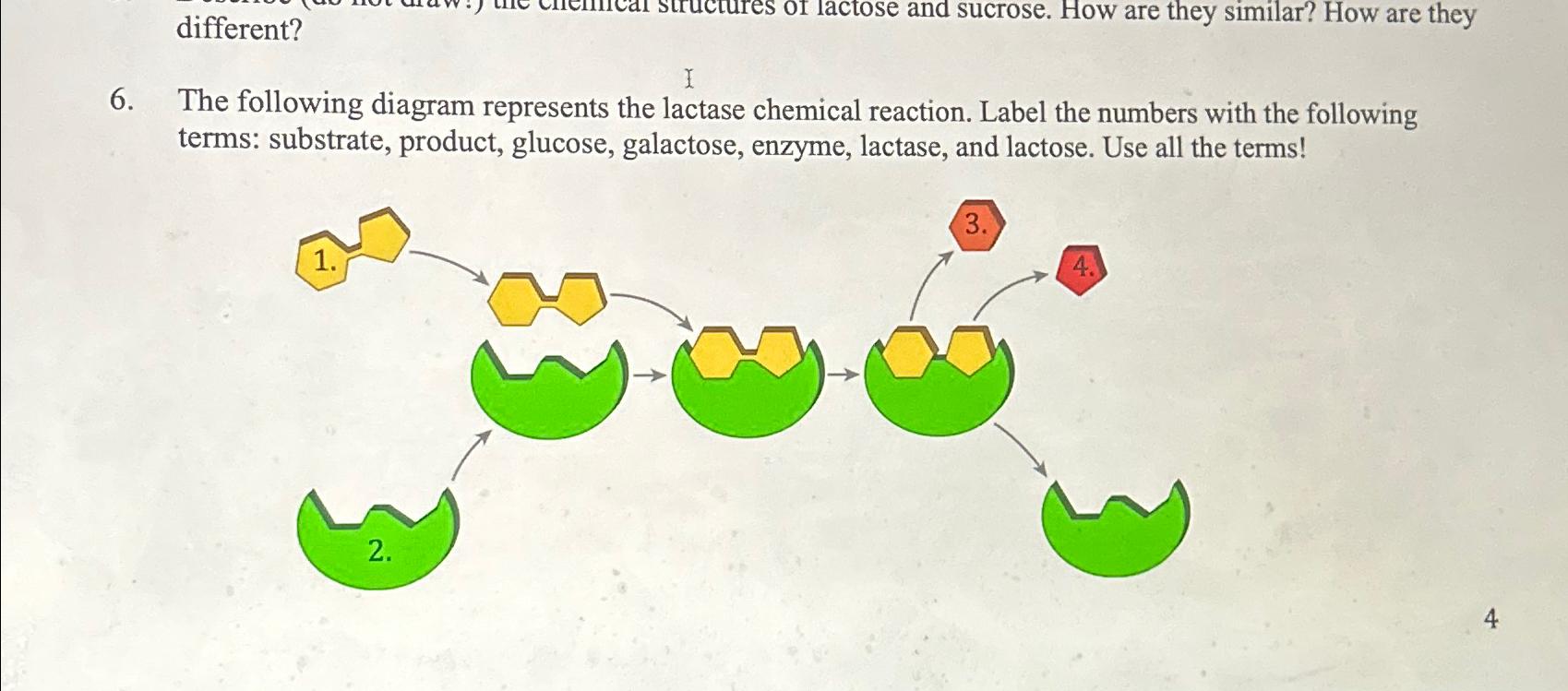 Solved different?6. ﻿The following diagram represents the
