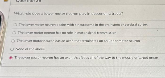 Solved What role does a lower motor neuron play in | Chegg.com