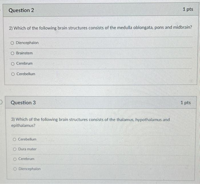 Solved Question 2 1 pts 2) Which of the following brain | Chegg.com
