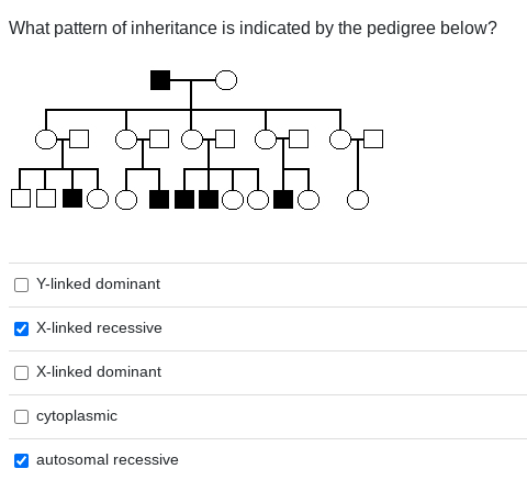 What Pattern Of Inheritance Is Indicated By The | Chegg.com