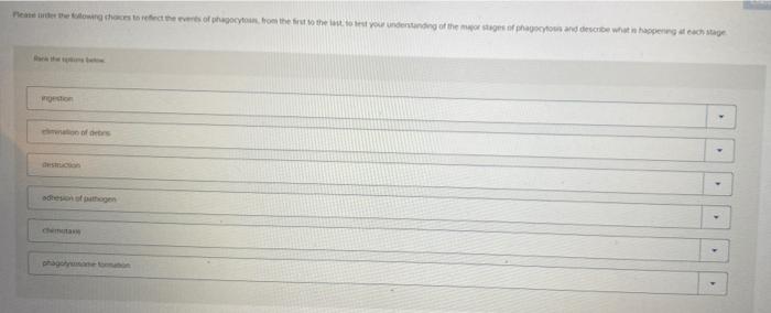 Solved Please order the following choices to reflect the | Chegg.com