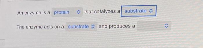 Solved An enzyme is a that catalyzes a The enzyme acts on a | Chegg.com