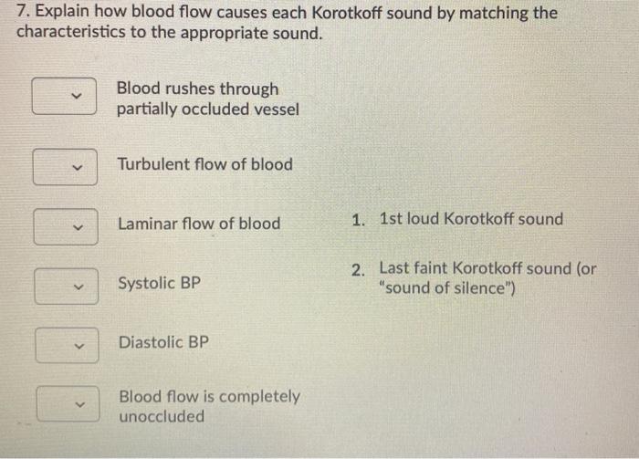 Solved 7. Explain how blood flow causes each Korotkoff sound
