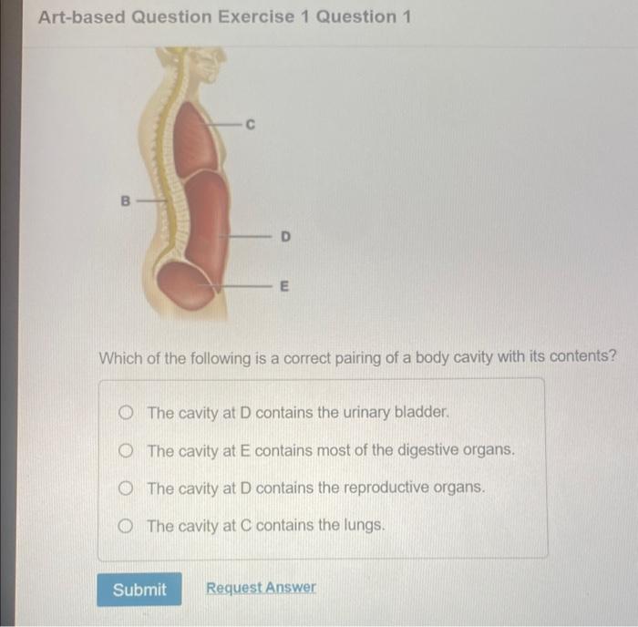 Solved Artbased Question Exercise 1 Question 1 Which of the