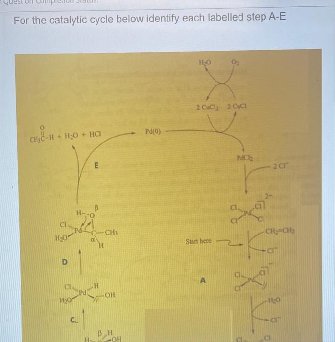 Solved Question For the catalytic cycle below identify each | Chegg.com