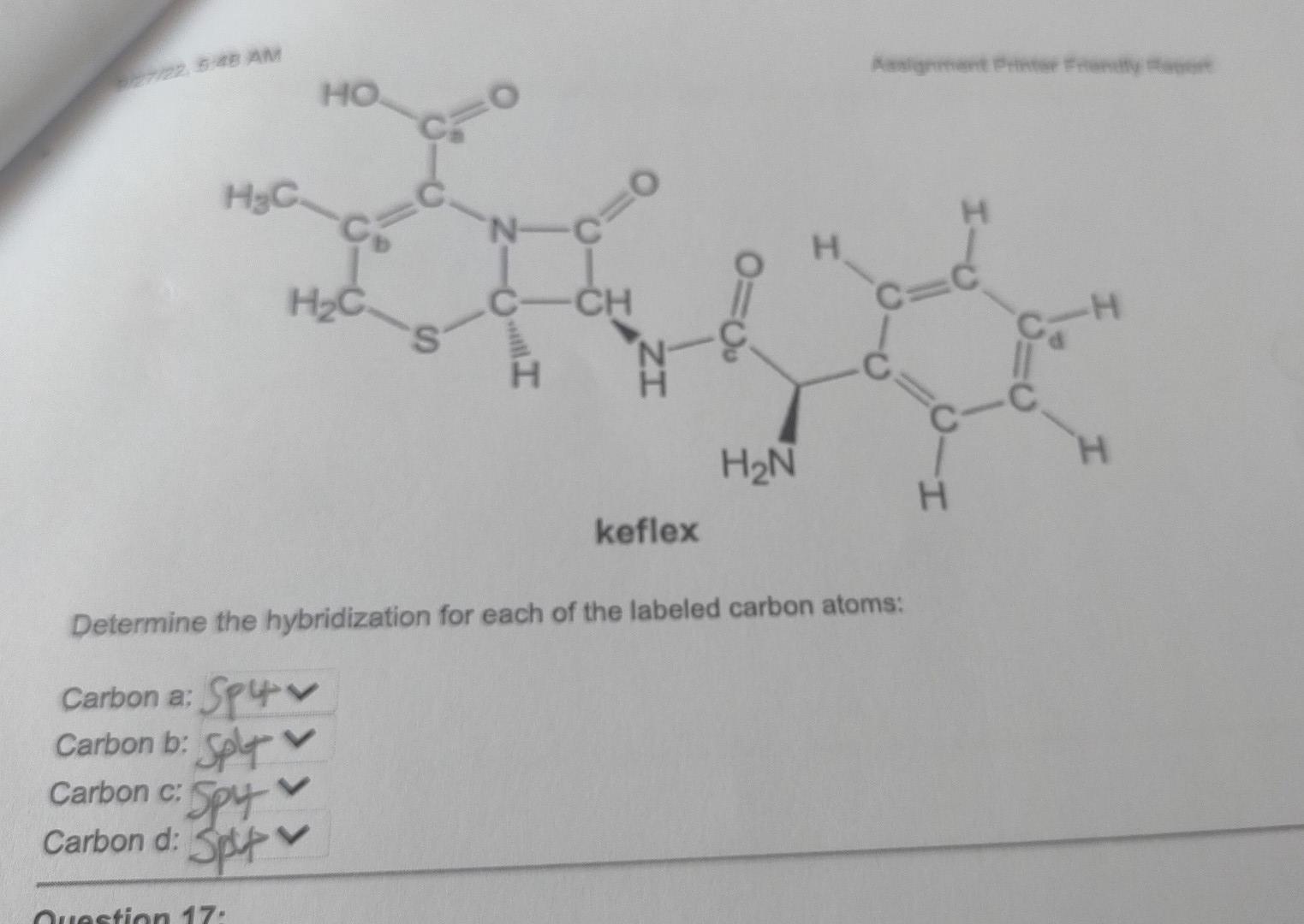 Solved Determine the hybridization for each of the labeled | Chegg.com
