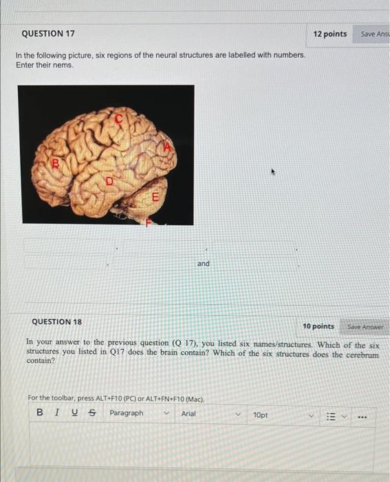 In the following picture, six regions of the neural structures are labelled with numbers.
Enter their nems.
QUESTION 18
10 po