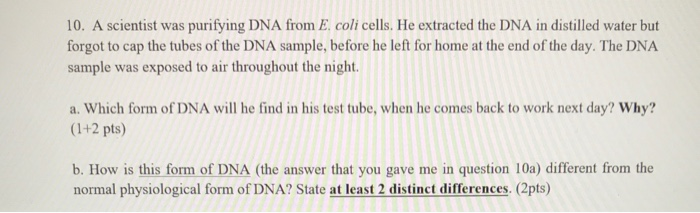 10. A scientist was purifying DNA from E. coli cells. | Chegg.com