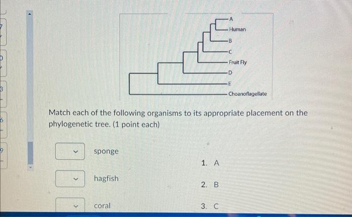 Solved Match each of the following organisms to its | Chegg.com