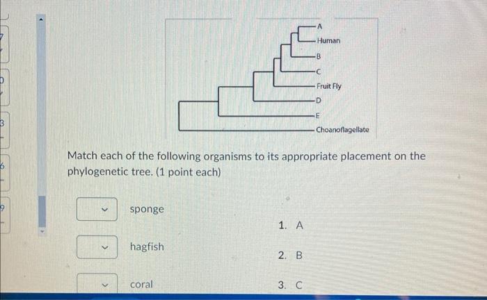 Solved Match Each Of The Following Organisms To Its | Chegg.com