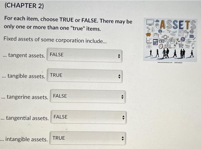 Solved (CHAPTER 2) For each item, choose TRUE or FALSE. | Chegg.com