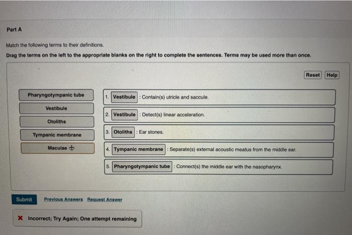 Solved Part A Match the following terms to their Chegg