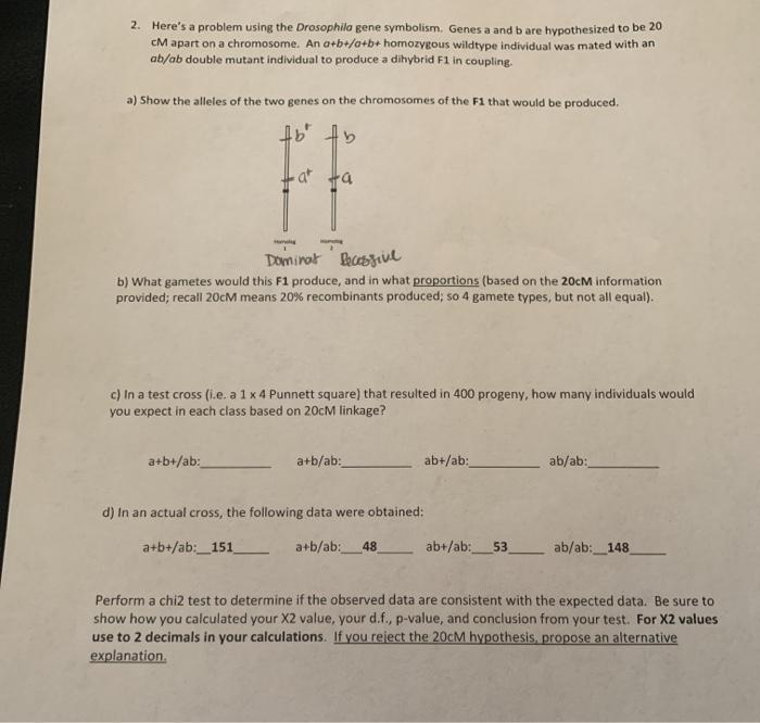 Solved 2. Here's a problem using the Drosophila gene | Chegg.com
