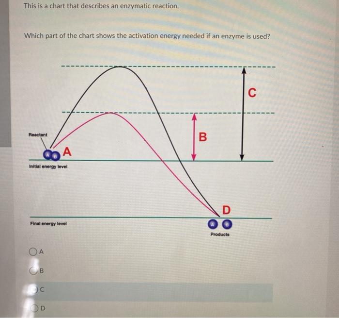 solved-this-is-a-chart-that-describes-an-enzymatic-reaction-chegg