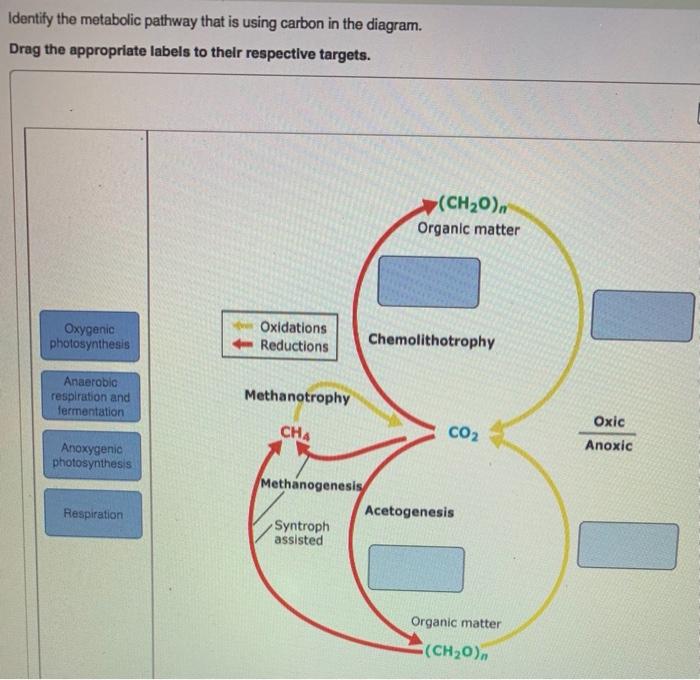 Drag the Appropriate Labels to Their Respective Targets. Resethelp: Achieve Targeted Success