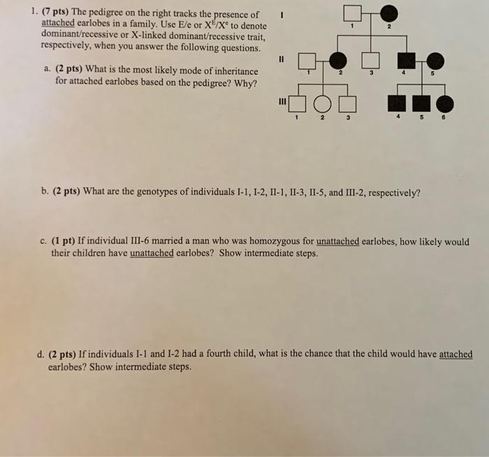 Solved 1. (7 pts) The pedigree on the right tracks the | Chegg.com