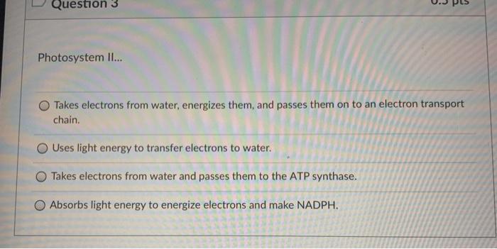 Solved D Question 2 0.5 pts You set up an experiment to grow | Chegg.com