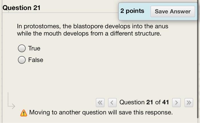 Solved Question 21 2 points Save Answer In protostomes, the | Chegg.com