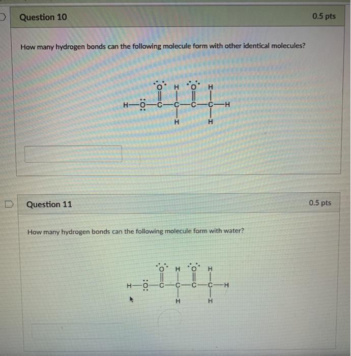 Solved Question 10 0 5 Pts How Many Hydrogen Bonds Can The