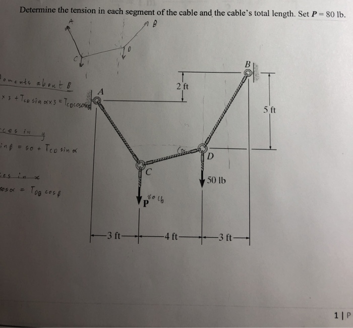 Solved Determine the tension in each segment of the cable | Chegg.com