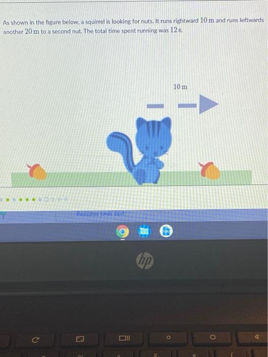 As shown in the figure below, a squirrel is looking | Chegg.com
