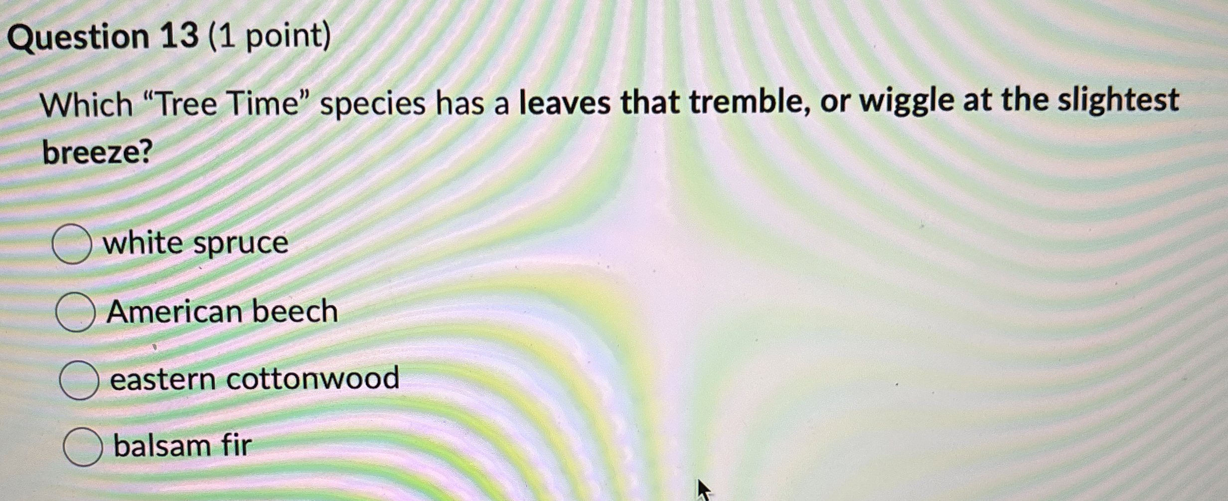 Solved Question 13 (1 ﻿point)Which "Tree Time" species has a