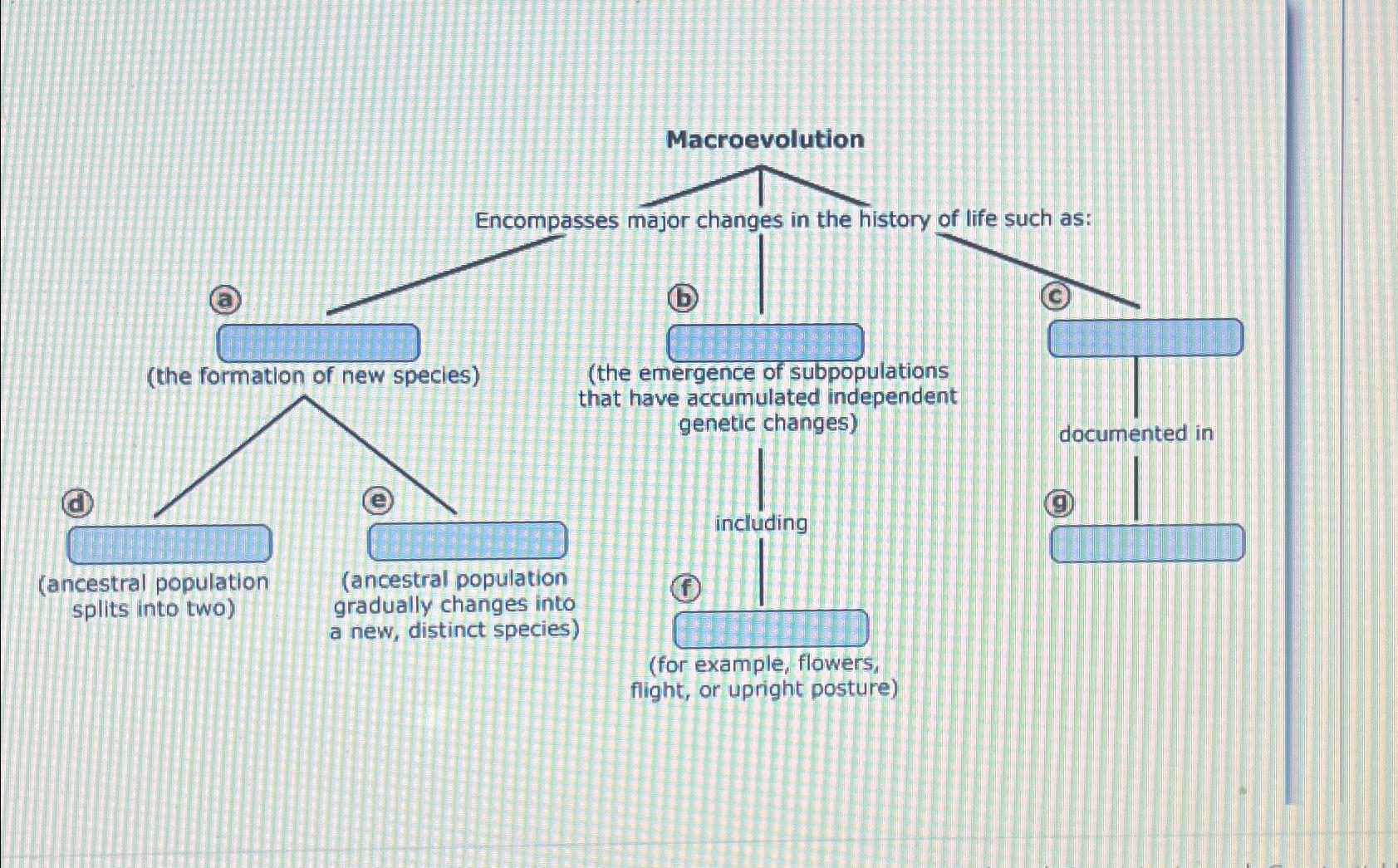 Solved macroevolution chegg