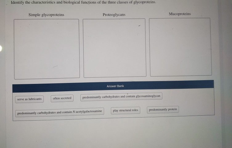 solved-identify-the-characteristics-and-biological-functions-chegg