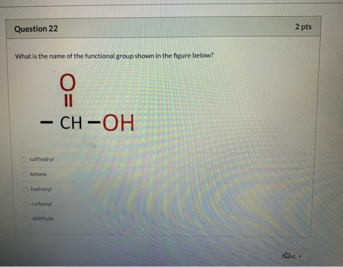Solved Question 22 2 pts What is the name of the functional | Chegg.com